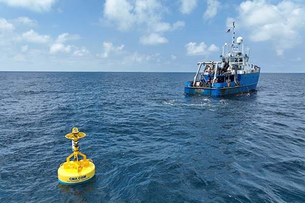 “Acoustic” ocean buoys keep whales out of harm’s way